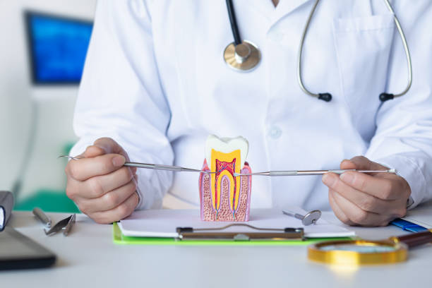 Best Emergency Dental Care for Broken or Chipped Teeth in Crane, MO